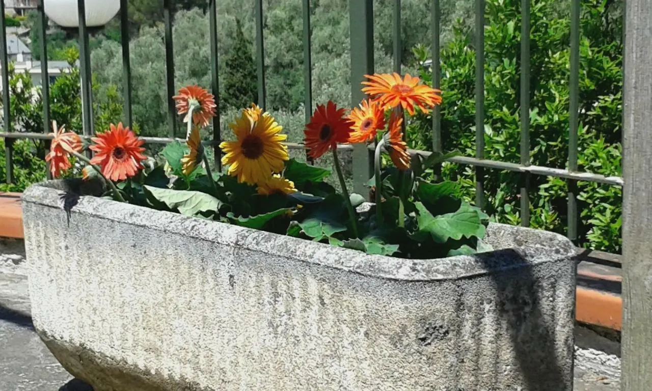 Appartamento Bellavista Moneglia 0*,